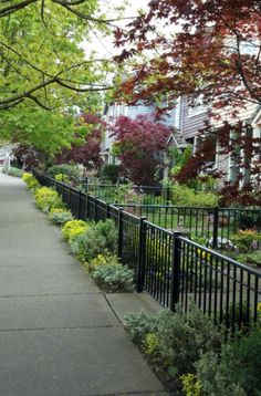 the sidewalk is lined with flowers and trees