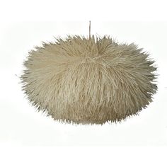 an animal fur ball hanging from the ceiling