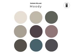 the color palettes for moody are shown in different shades and sizes, including dark gray