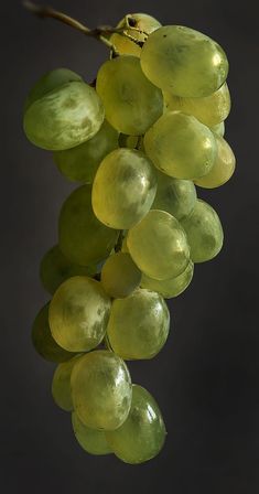 a bunch of green grapes hanging from a branch with dark back ground behind them, in front of a black background