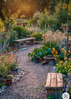 the garden is full of flowers and plants