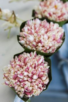 three pink and white flowers sitting on top of a table