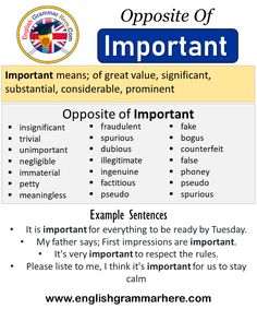 an info sheet describing the different types of important things