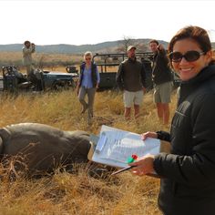 a woman infront of a rhino with a clipboard Anti Poaching, Rhino Horn, Kruger National Park, Southern Africa, Break In, Modern Life, Botswana, Tanzania