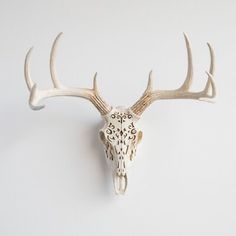 an animal's skull mounted on the wall with intricately carved antlers and horns