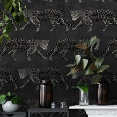 Digital printed design  a stunningly drawn panther prowls across this design  powerful and elegant in a magical noir black background.  Wide width wallpaper. Black Powder Room, Jaguar Wallpaper, Statement Wallpaper, Wallpaper Direct, Wallpaper Bedroom, Texture Background, Cat Wallpaper, Print Wallpaper, Subtle Textures