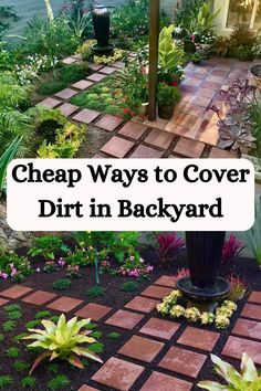 a garden with flowers and plants in the background text reads cheap ways to cover dirt in backyard