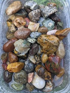 Miscellaneous material ready for tumbling. You will find some beautiful pieces of jasper and quartz. All from Washington State.  Second picture shows approximately 1 pound.  Price is per pound Photos are not exactly what you will get, but you can expect a beautiful variety just like that. Rock Tumbling, Battle Ground, Natural Minerals, 1 Pound, Raw Stone, Agate Pendant, Wire Wrapped Pendant, Washington State, Rocks And Minerals