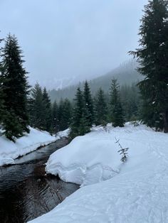 a river running through a snow covered forest next to evergreen trees on a cloudy day