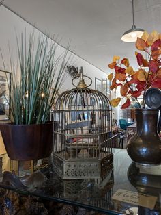 a bird cage sitting on top of a glass table next to a potted plant