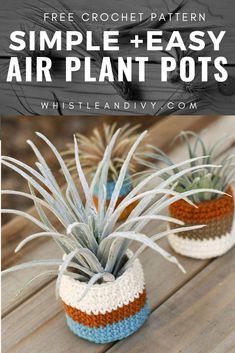 crocheted air plant pots with text overlay that reads, free crochet pattern simple and easy air plant pots