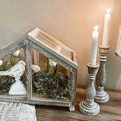 a glass house with plants in it and two candles on the table next to it