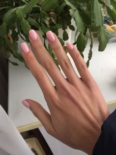 Eid Nails, Light Pink Acrylic Nails, Summer Nails 2022, Pink Gel Nails, Light Pink Nails, Nails 2022, Manicure Ideas, Pink Acrylic Nails