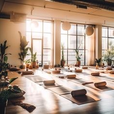 a large room with lots of yoga mats and potted plants on the windowsill