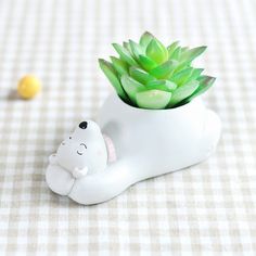 a small potted plant sitting on top of a table