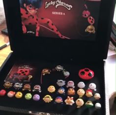 the ladybug charm set is in its box and ready to be bought into someone's house