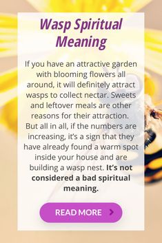 What is the Wasp spiritual meaning and the wasp symbolism inside your house. Some very interesting superstitions about wasps in the spiritual world. Wasp Nest, Spiritual World, The Wasp, Very Interesting, Updating House