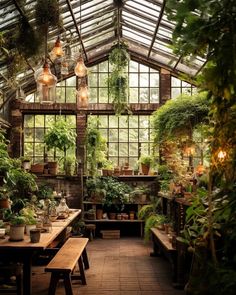 an indoor greenhouse filled with lots of plants and potted plants on the tables in front of them