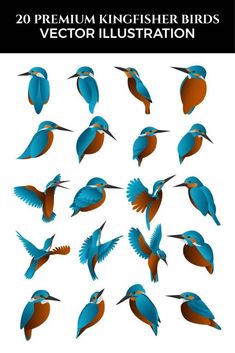 a bunch of birds that are flying in the air