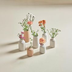 five vases with flowers in them sitting on a table