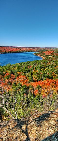 an aerial view of trees and water in the fall