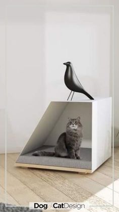 a cat sitting on top of a white box with a black bird perched on it