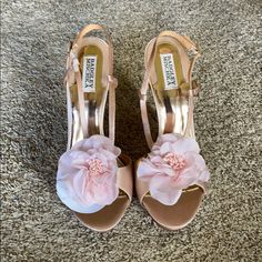 Never Worn Badgley Mischka Stilettos. 5 Inches. Size 10. Comes With Dust Bag. Light Color Pink With Rose Badgley Mischka Shoes, Bag Light, Badgley Mischka, Wedding Shoes, Shoes Women Heels, Dust Bag, Shoes Heels, Size 10, Women Shoes