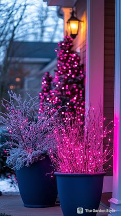 two potted plants with pink lights in front of a house