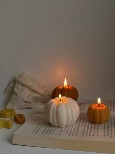 two lit candles sitting on top of an open book next to waxed pumpkins