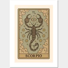 the scorpio taroti card with an image of a scorpion on it