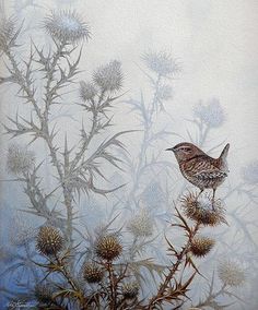 a painting of a bird sitting on top of a thistle plant in front of a foggy sky