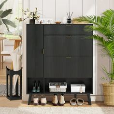 a black cabinet sitting next to a potted plant in a living room with shoes on the floor