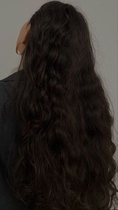 Long Dark Hair Aesthetic, Long Wavy Hair Aesthetic, Long Thick Wavy Hair, Wavy Hair Aesthetic, Long Wavy Brown Hair, Dark Hair Hairstyles, Hair With Color, Thick Long Hair, Hair Styles For Long Hair