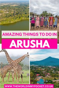 an image with the words amazing things to do in arusha, including giraffes