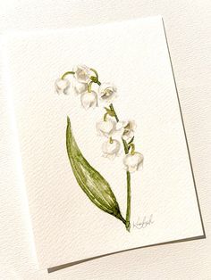 a watercolor painting of white flowers with green leaves