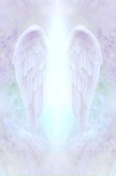 two white angel wings are in front of a blue and pink background