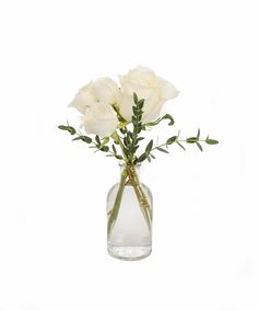 three white roses in a clear vase on a white background with green stems and leaves