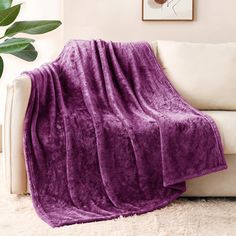 a white couch with a purple blanket on it and a plant in the corner next to it