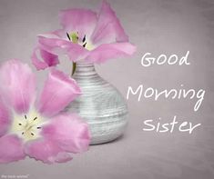 three pink flowers in a vase with the words good morning sister on it's side