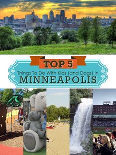 the top 5 things to do with kids and dogs in minneapolis