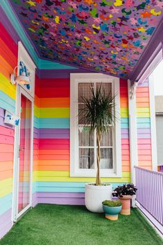 a rainbow painted house with a potted plant on the front porch and colorful ceiling