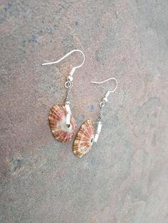 These are a pair of fissurela shell earrings.  Fissurela shells are small to medium-sized sea snails found in the Atlantic Ocean.  These earrings are accented with brown amber beads.  They are approximately 1.5 inches in length.  A portion of the sales will be donated to polluted ocean research. If you have any questions, or would like to see additional pictures, please do not hesitate to contact our shop. Thank you for your time. Brown Drop Earrings For The Beach, Brown Drop Earrings For Beach, Unique Shell Earrings For Beach, Brown Beaded Shell-shaped Jewelry, Shell-shaped Shell Earrings With Ear Wire, Shell-shaped Earrings With Ear Wire, Brown Beaded Shell Jewelry, Nickel-free Shell Dangle Earrings, Unique Brown Shell Jewelry