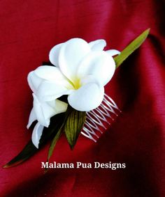 A Tropical or Beach Brides Dream Hair Accessory! A Wedding Accessory to wear forever! 3 Beautiful HAWAIIAN PLUMERIA (Frangipani) are in this Flores Plumeria, Beach Wedding Headpieces, Hawaiian Plumeria, Easy Updo, Plumeria Flowers, Cancun Wedding, Hawaiian Flower