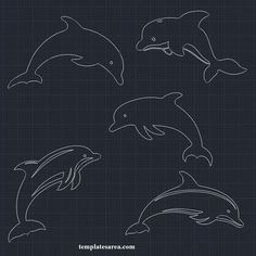 four dolphins jumping in the air