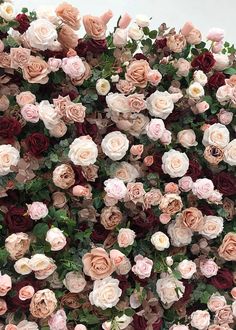 a bunch of flowers that are on the side of a wall