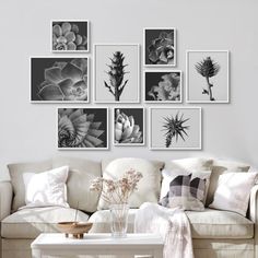 a living room filled with white furniture and pictures on the wall above it's coffee table