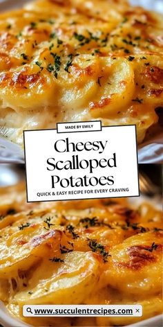 two plates filled with cheesy scalloped potatoes on top of each other