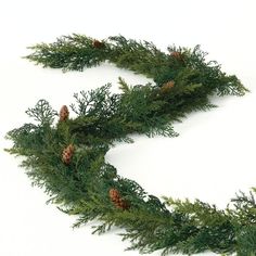 two pine cones are attached to the branches of a christmas tree on a white background