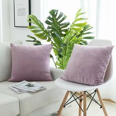 two purple pillows sitting on top of a white couch next to a green leafy plant