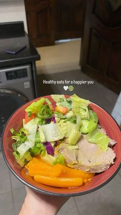 a person holding a bowl filled with meat and veggies on top of a kitchen counter